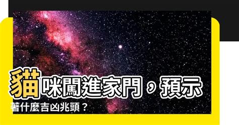 貓進家裡|貓進家門預示什麼？5種吉兆揭秘